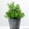Artificial plant in paper pulp pot GS-0339631 1 Artificial plant in paper pulp pot GS-0339631