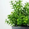 Artificial plant in paper pulp pot GS-0339631 2 Artificial plant in paper pulp pot GS-0339631