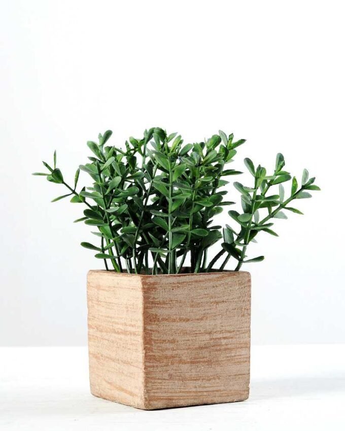 13cm Paper pot GS-0339632