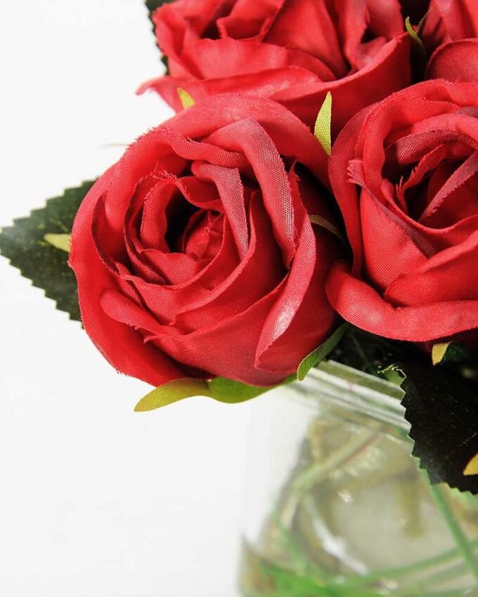 H:14cm Rose in Glass pot GS-0339636