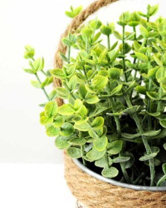 H:19cm Eucalyptus in Metal Pot GS-0339677