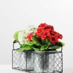 H:23cm Geranium With Metal Pot in Metal Frame GS-0339678