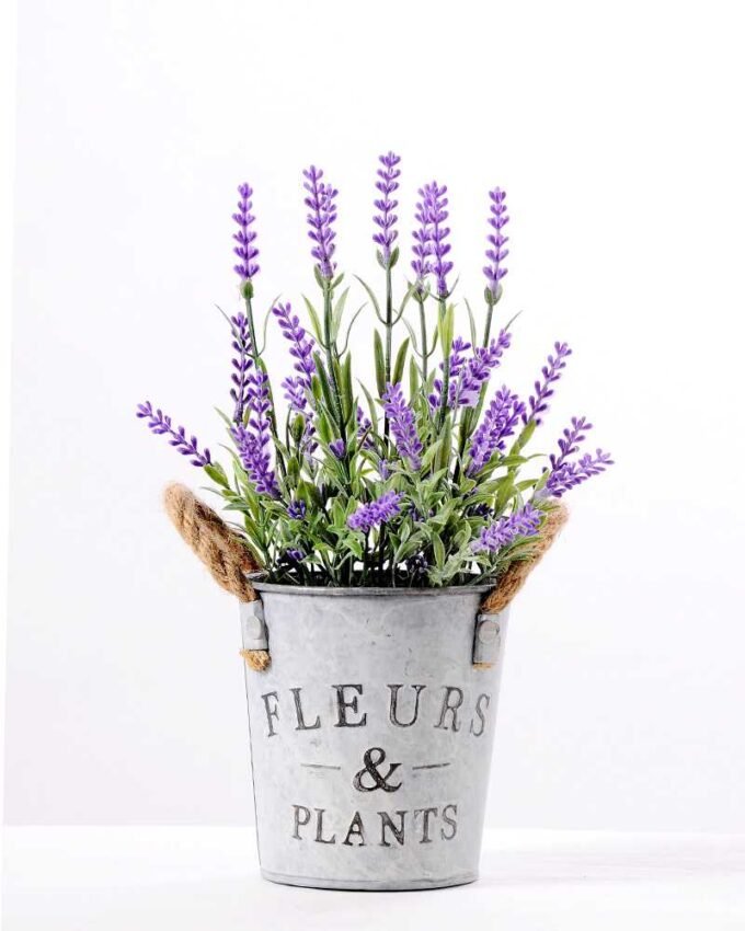 H:28cm Lavender in Metal Pot GS-0339681