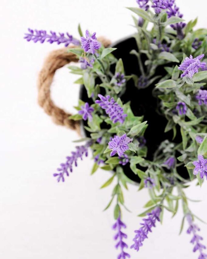 H:28cm Lavender in Metal Pot GS-0339681