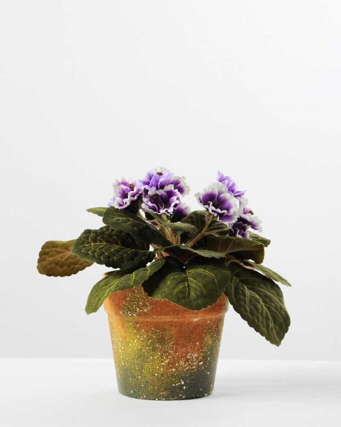 H:19cm Violet in Paper Pulp Pot GS-0339684 1 H:19cm Violet in Paper Pulp Pot GS-0339684