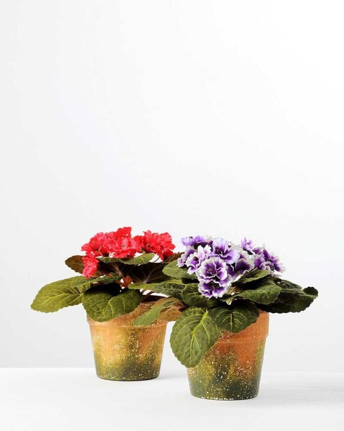 H:19cm Violet in Paper Pulp Pot GS-0339684 3 H:19cm Violet in Paper Pulp Pot GS-0339684