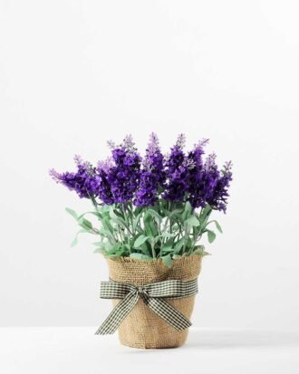 H:26cm Lavender in Burlap Wrap Pot GS-0339685