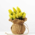 H:17cm  Pinecone in Burlap Wrap Pot GS-0339689
