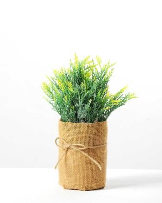 H:20cm Grass in Burlap Wrap Pot GS-0339690