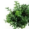 H:20cm Aglaia Odorata Leaves in Burlap Wrap Pot GS-0339692 4 H:20cm Aglaia Odorata Leaves in Burlap Wrap Pot GS-0339692