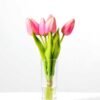 H:20cm Tulip in Glass Ware GS-0339694
