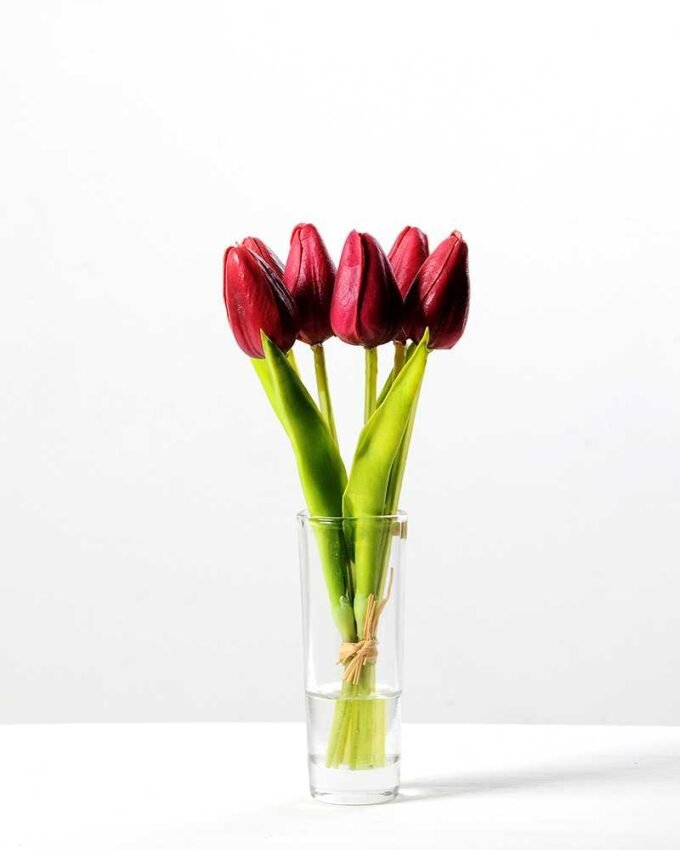 H:20cm Tulip in Glass Ware GS-0339694