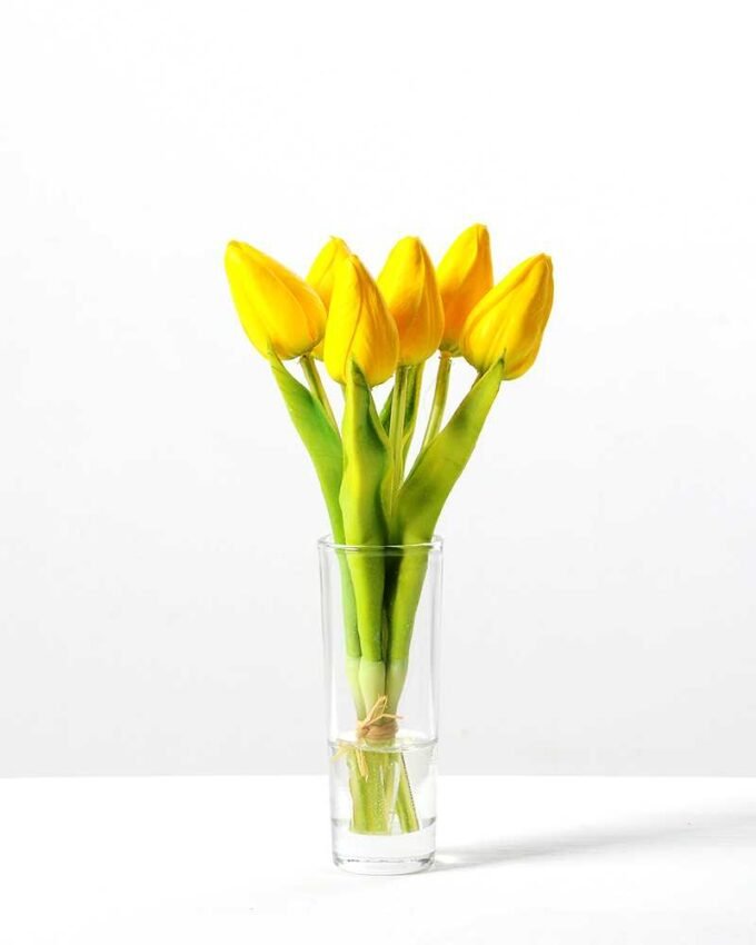 H:20cm Tulip in Glass Ware GS-0339694