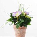 24CM petunia in PaPer PulP Pot GS-0339701