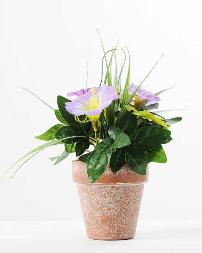 24CM petunia in PaPer PulP Pot GS-0339701 1 24CM petunia in PaPer PulP Pot GS-0339701