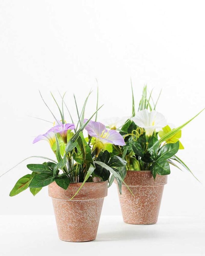 24CM petunia in PaPer PulP Pot GS-0339701 3 24CM petunia in PaPer PulP Pot GS-0339701