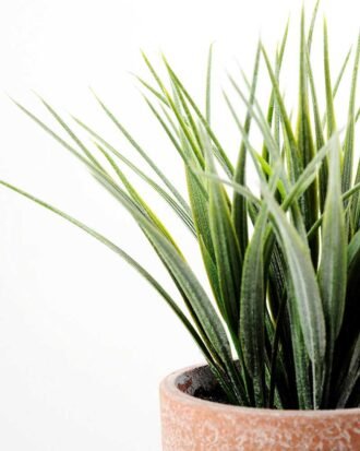 20CM Spring grass in PaPer PulP Pot GS-0339704