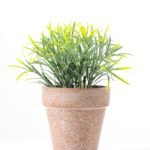 17CM Grass in PaPer PulP Pot GS-0339708