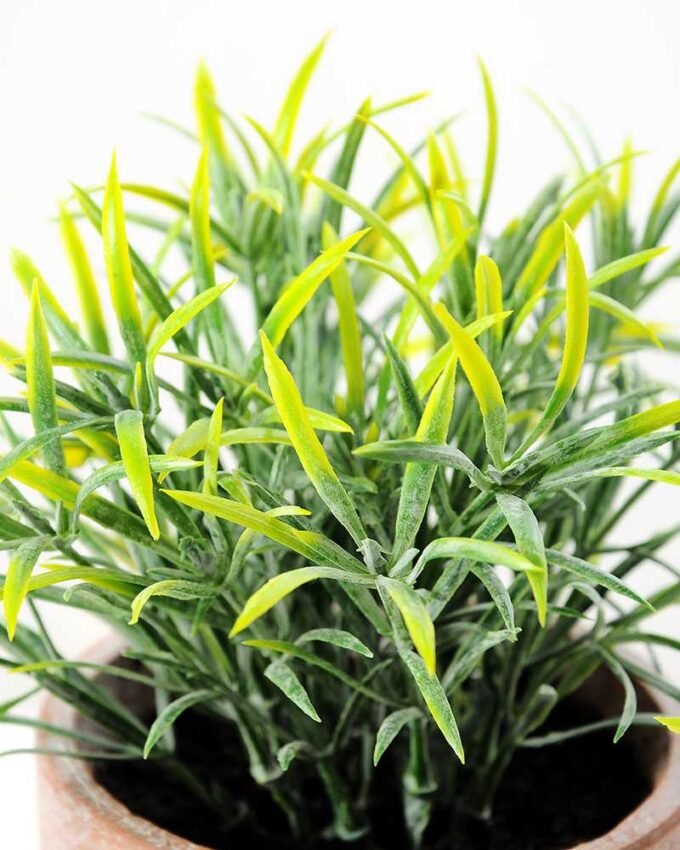 17CM Grass in PaPer PulP Pot GS-0339708