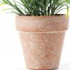 17CM Grass in PaPer PulP Pot GS-0339708