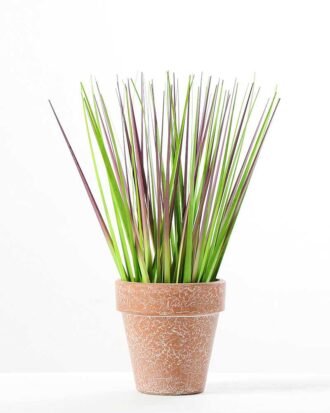 25CM Grass in PaPer PulP Pot GS-0339710