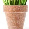 25CM Grass in PaPer PulP Pot GS-0339710 3 25CM Grass in PaPer PulP Pot GS-0339710
