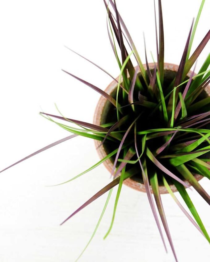 25CM Grass in PaPer PulP Pot GS-0339710 4 25CM Grass in PaPer PulP Pot GS-0339710