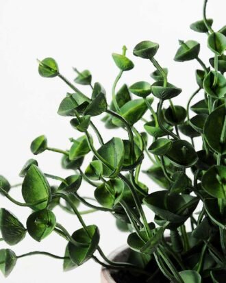 23CM eucalyptus in PaPer PulP Pot GS-0339712