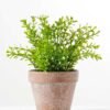24CM Mini Flower in PaPer PulP Pot GS-0339713