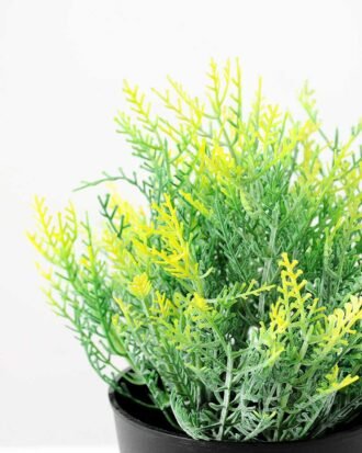 20CM Grass in Plastic Pot GS-0339717