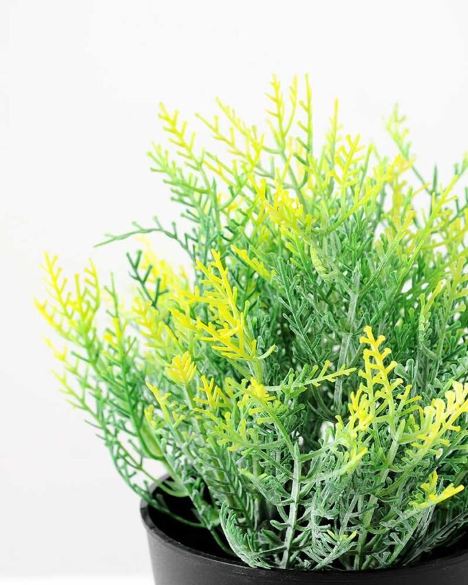 20CM Grass in Plastic Pot GS-0339717