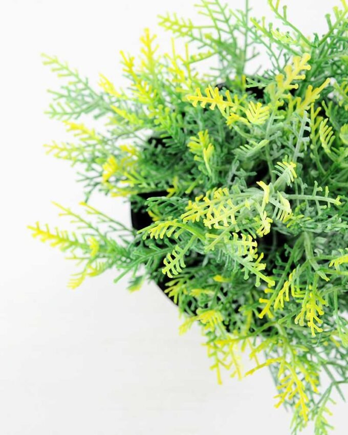 20CM Grass in Plastic Pot GS-0339717