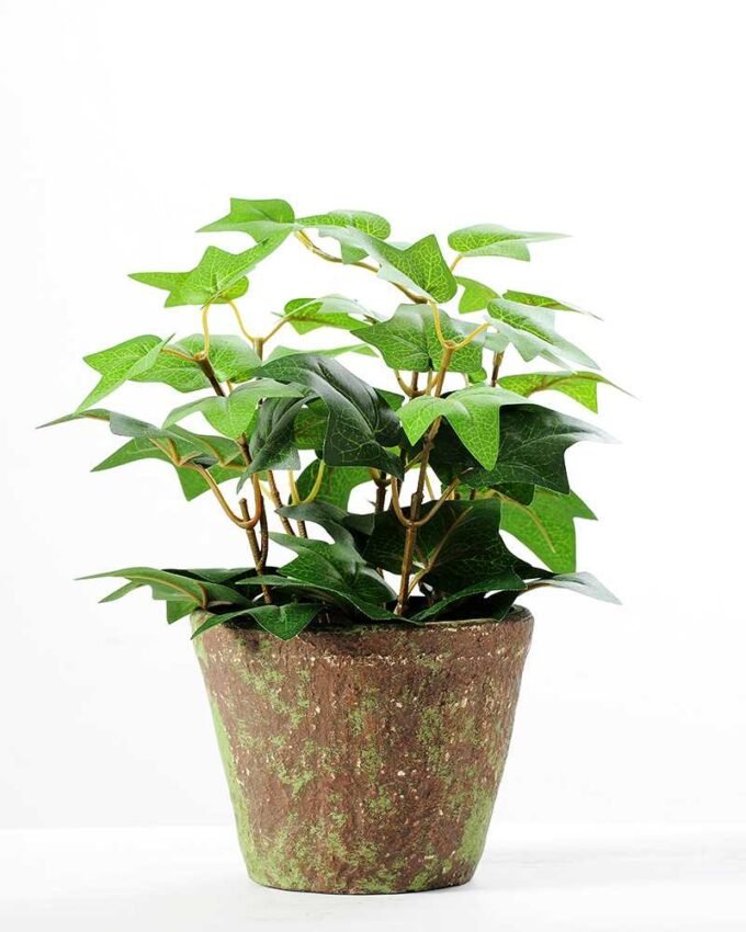 24CM Leaves in Plastic Pot GS-0339718 1 24CM Leaves in Plastic Pot GS-0339718
