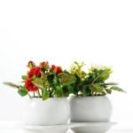 11CM Mini rose in ceramic Pot GS-0339723