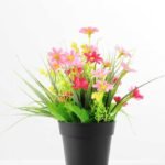 24cm Grass in Plastic Pot GS-0339724