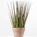34cm Grass in PaPer PulP Pot GS-0339725