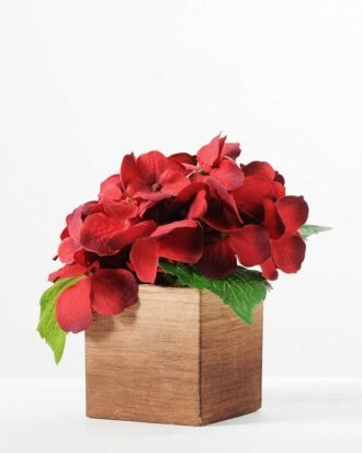 15CM Hydrangea potted in PaPer PulP Pot GS-0339727