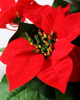 25CM Christmas flower in linen Pot GS-0339729