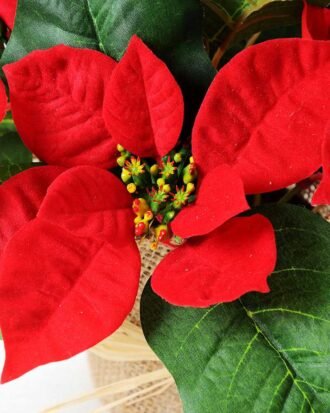 22CM Christmas flower  in linen Pot GS-0339730