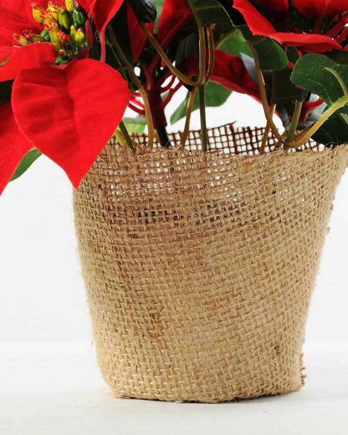 22CM Christmas flower  in linen Pot GS-0339730