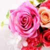 rose GS-0339737 3 rose GS-0339737