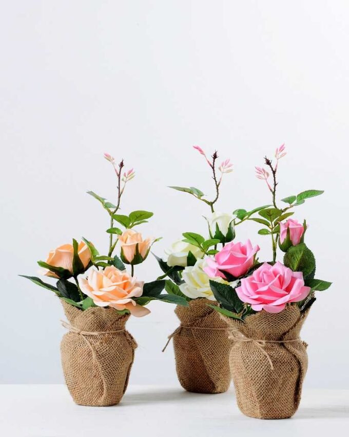 rose in Burlap wrap GS-0339738