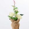 rose in Burlap wrap GS-0339738