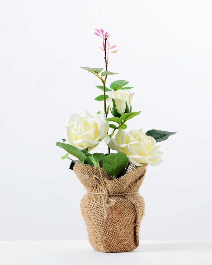 rose in Burlap wrap GS-0339738