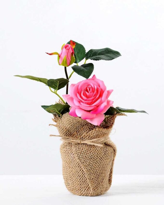Mini roses in Burlap wrap GS-0339739 3 Mini roses in Burlap wrap GS-0339739