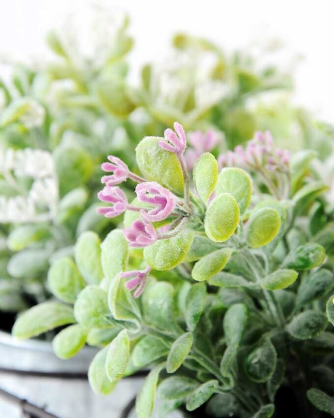 Mini grass in Metal pot GS-0339740