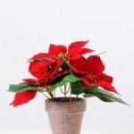 20CM Christmas flower in PotPaPer PulP Pot GS-0339743
