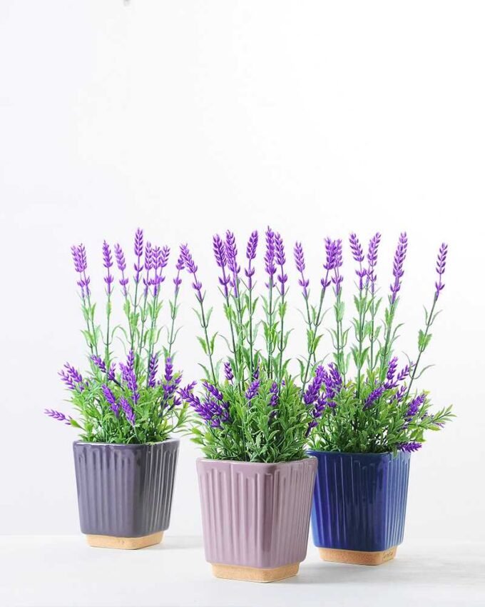 36CM Lavender in ceramic Pot GS-0339746