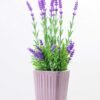 36CM Lavender in ceramic Pot GS-0339746