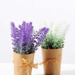 17CM Lavender in PaPer wraP Pot GS-0339749